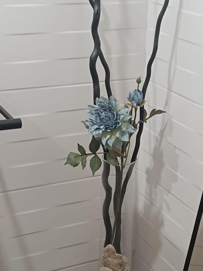 Apartament Anfiteatre Roma Tarragona Eksteriør billede